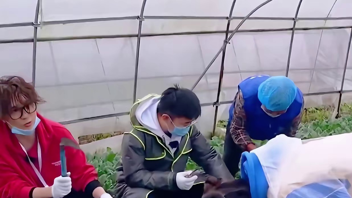 岳云鹏：杨超越你是不是靠脸吃饭的