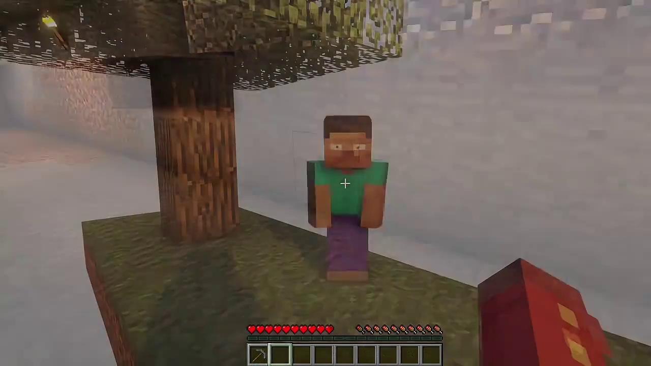 我的世界：我的傻子朋友5