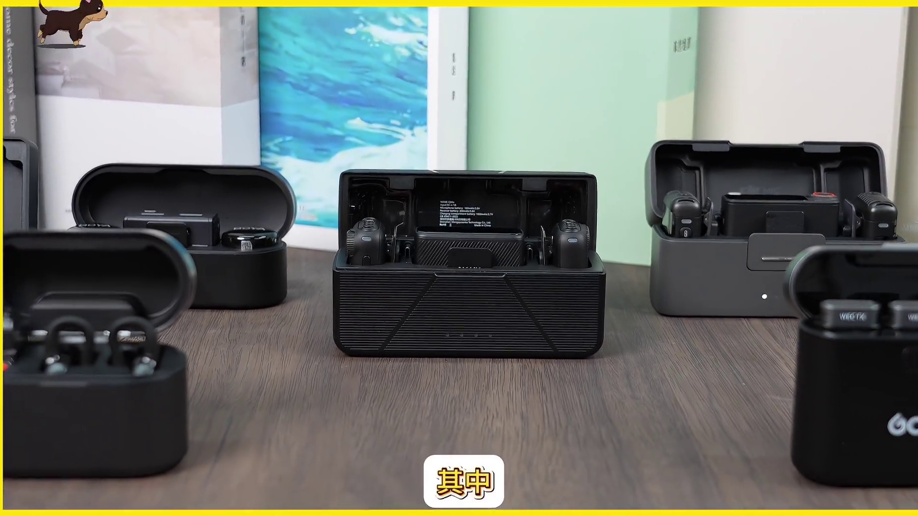 领夹麦合集，五款不踩雷推荐