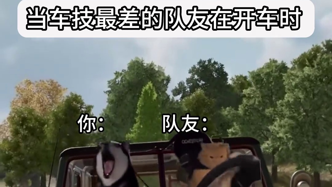 当车技最差的队友在开车时