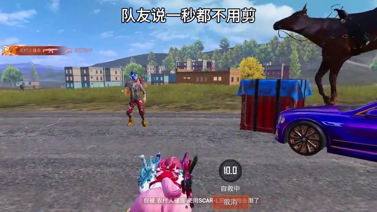 为什么显示是我撞的敌人？这马太有灵性了！