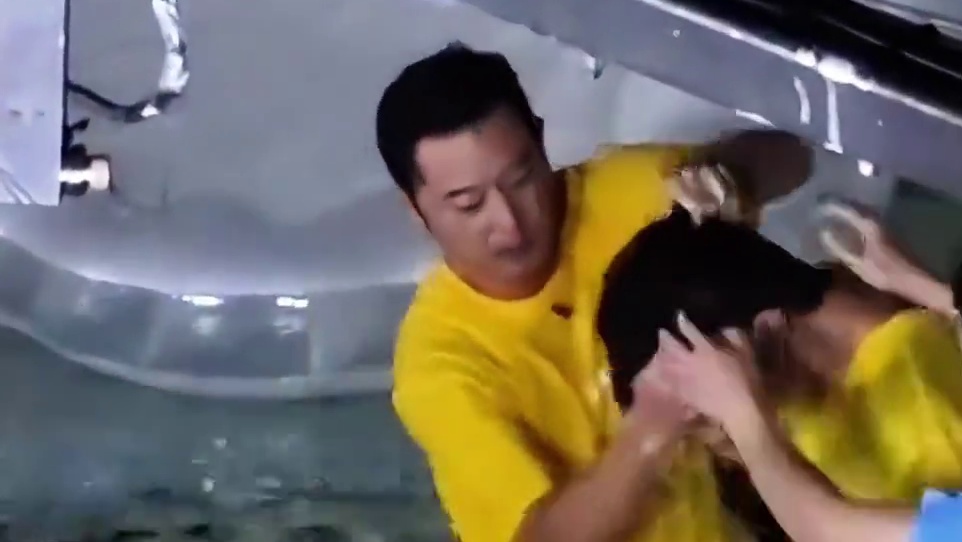 谁能救救假发被泼飞的陈哲远