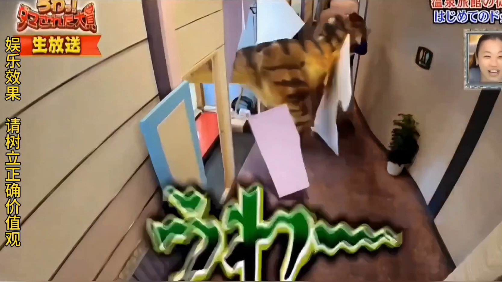 你们不会把整栋楼都炸了吧