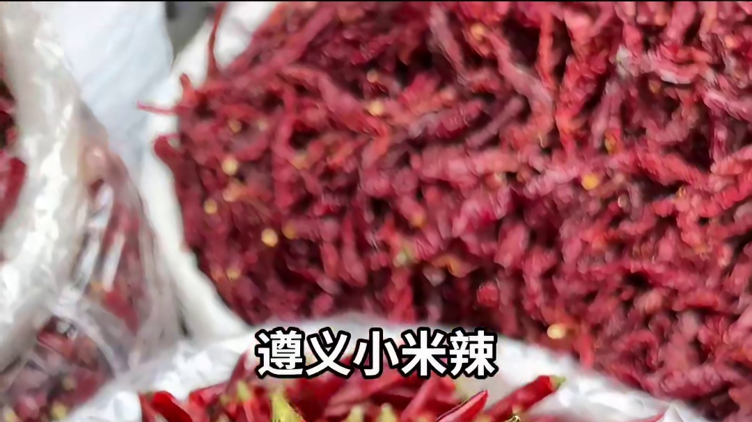 一条视频带你看一下贵州辣椒的种类有多丰富！