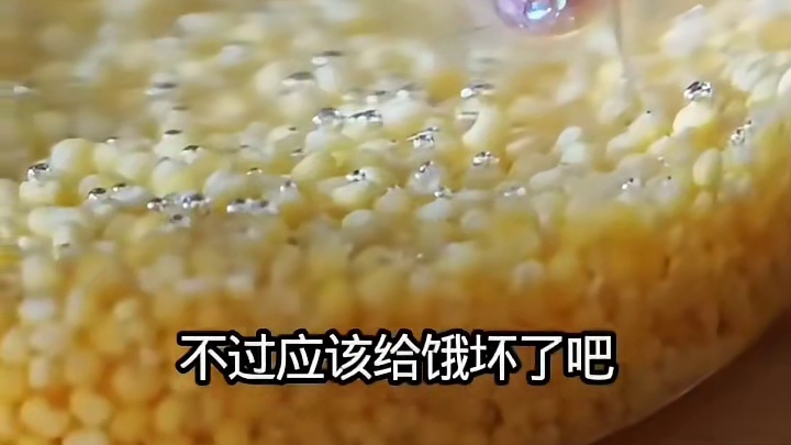 这小米里游的啥？