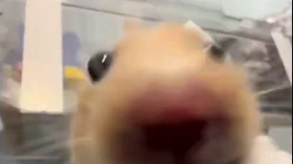 3月21日得吃粥报 三角洲行动每日密码 零号大坝4792 长弓溪谷0647 巴克什3004 航天基地9540 潮汐监狱9309