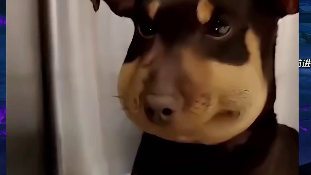 丸辣被狄瑞吉做局了，连续两波团都出现这种情况，我要验牌！