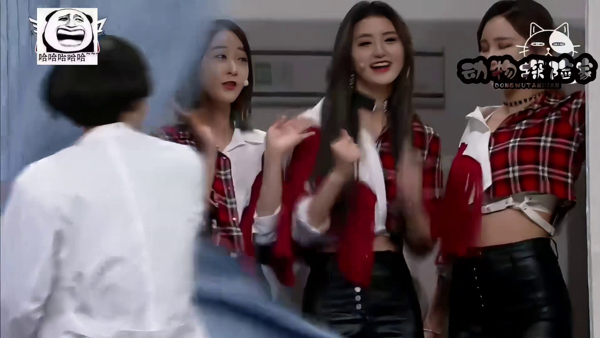 二狗表示主要是家属惹不起啊