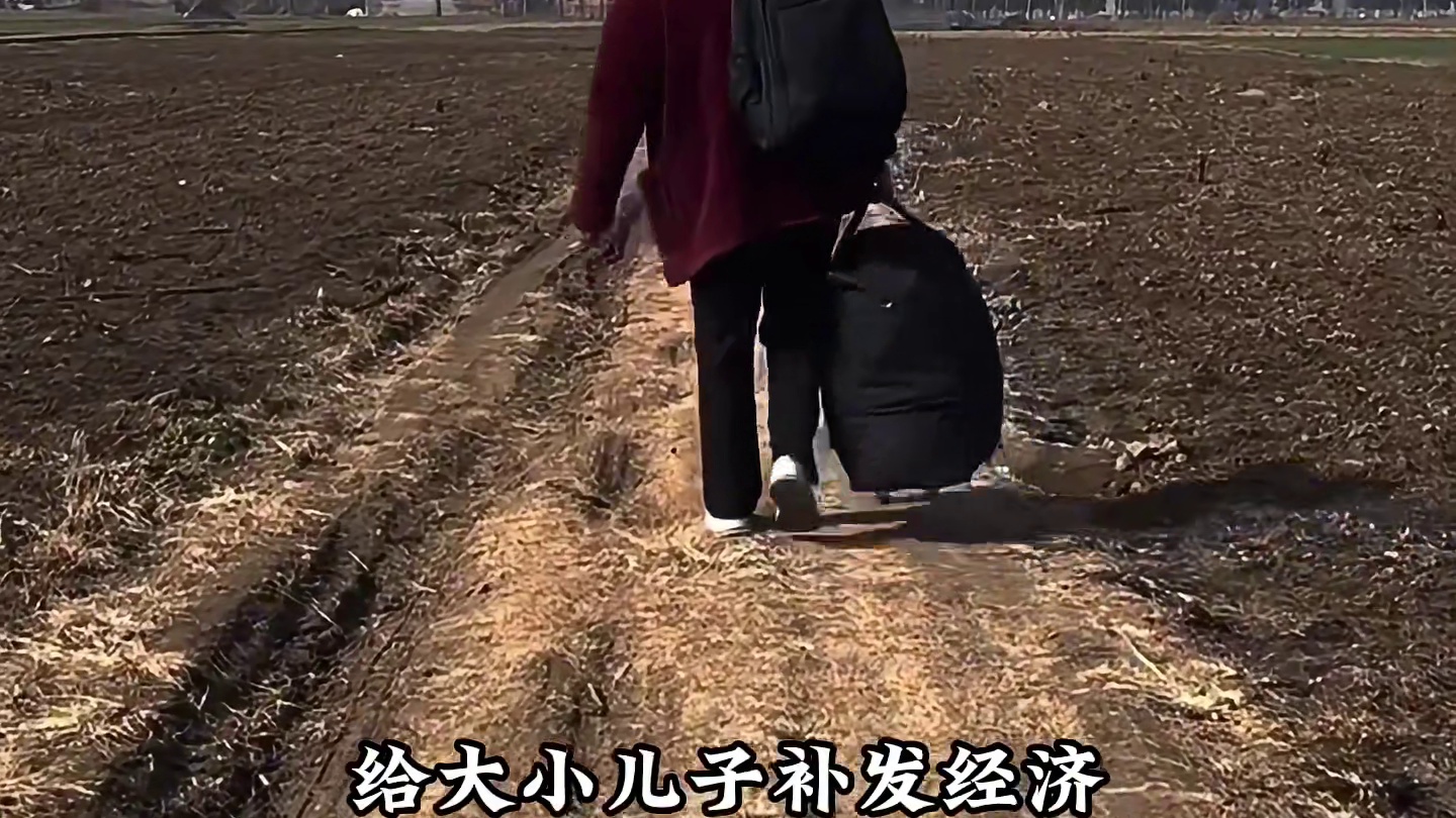 这阵容到了后期，我真不知道该怎么输！