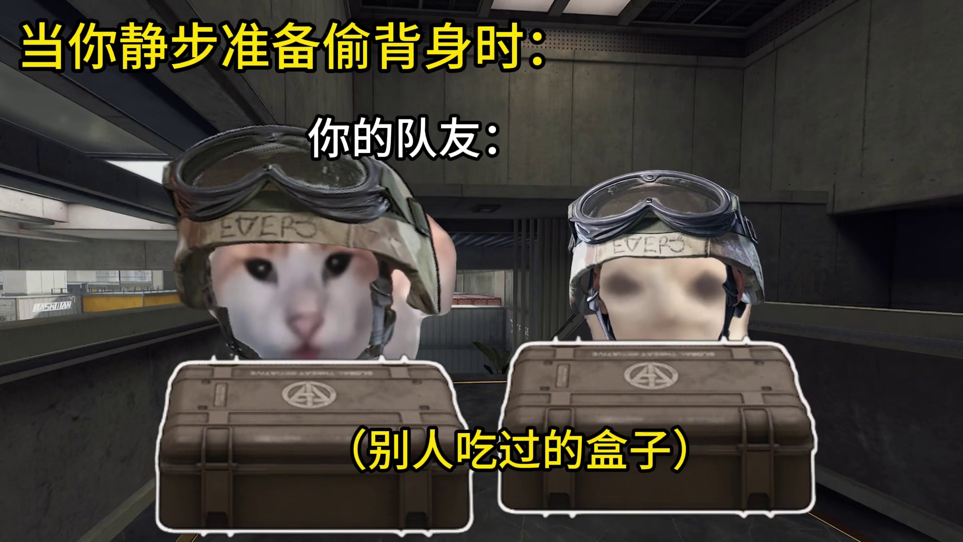 兄弟说：吃剩饭是没有声音的 三角洲行动漫剧