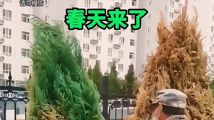 春天来了小草绿了，那小树也得绿