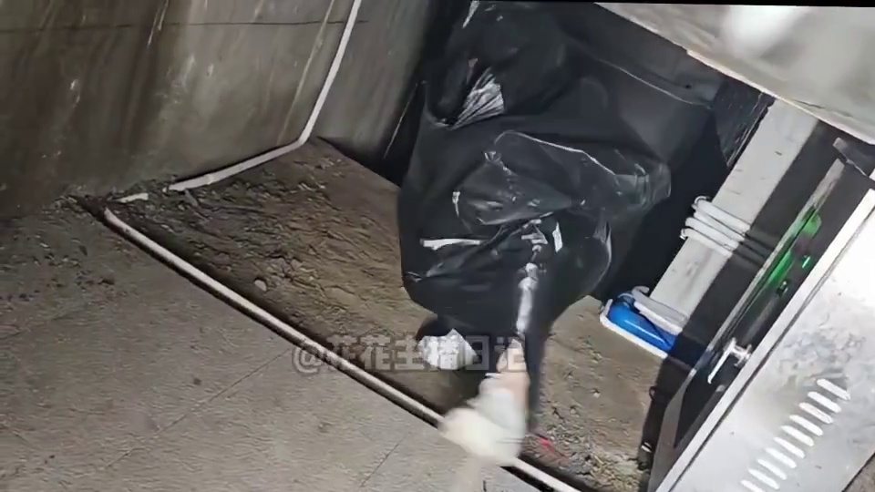 捉迷藏还得是萌萌，这都不是碳基生物能干出来的