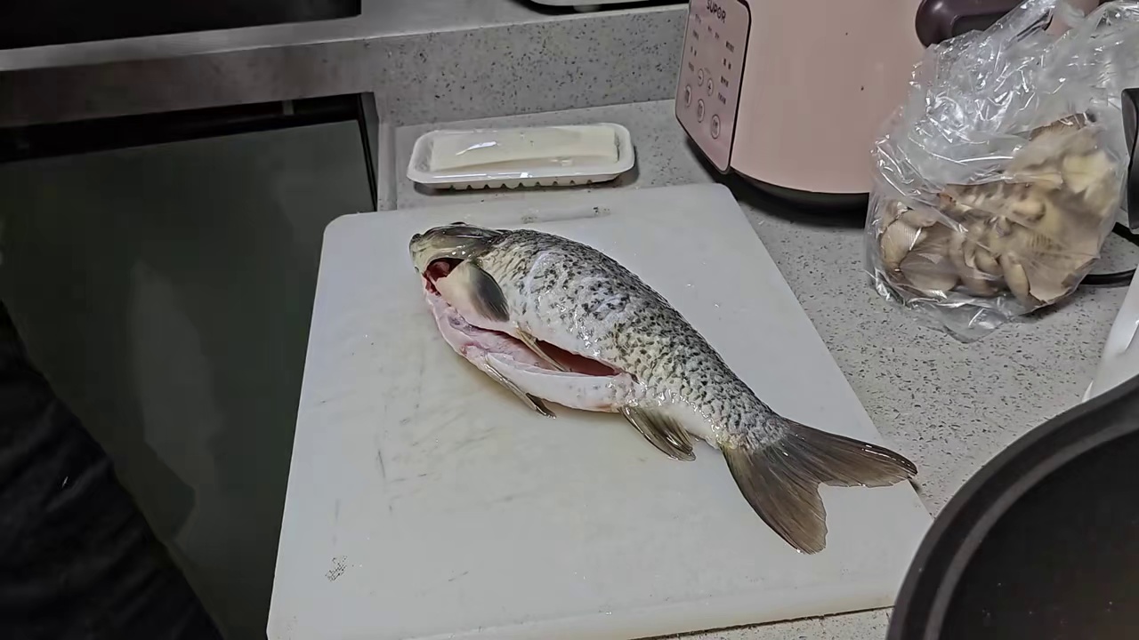 【皮皮笙深夜食堂17】北葵鲫鱼豆腐汤，传统做法，鲜到骨子里。