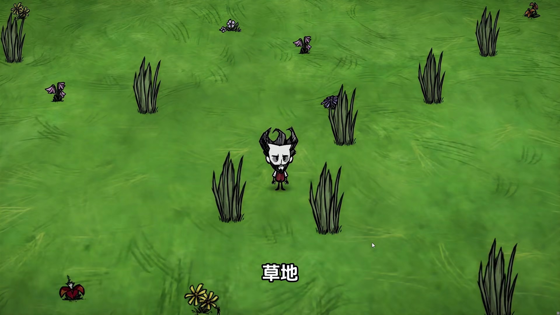 饥荒单机版海难：一口气看完海难的所有地形