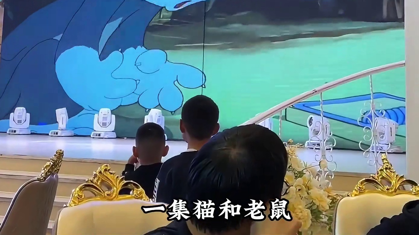 这才是全球最顶流的猫！