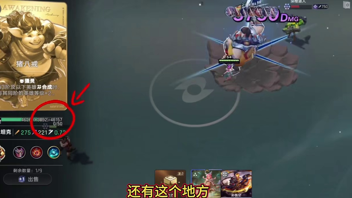 万象棋6万雪猪八戒