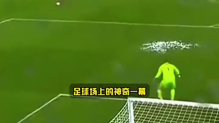 足球场上神操作：猫咪扑球瞬间！#足球