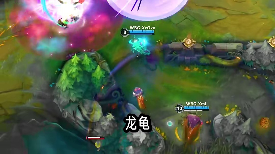 狮子狗反制全攻略