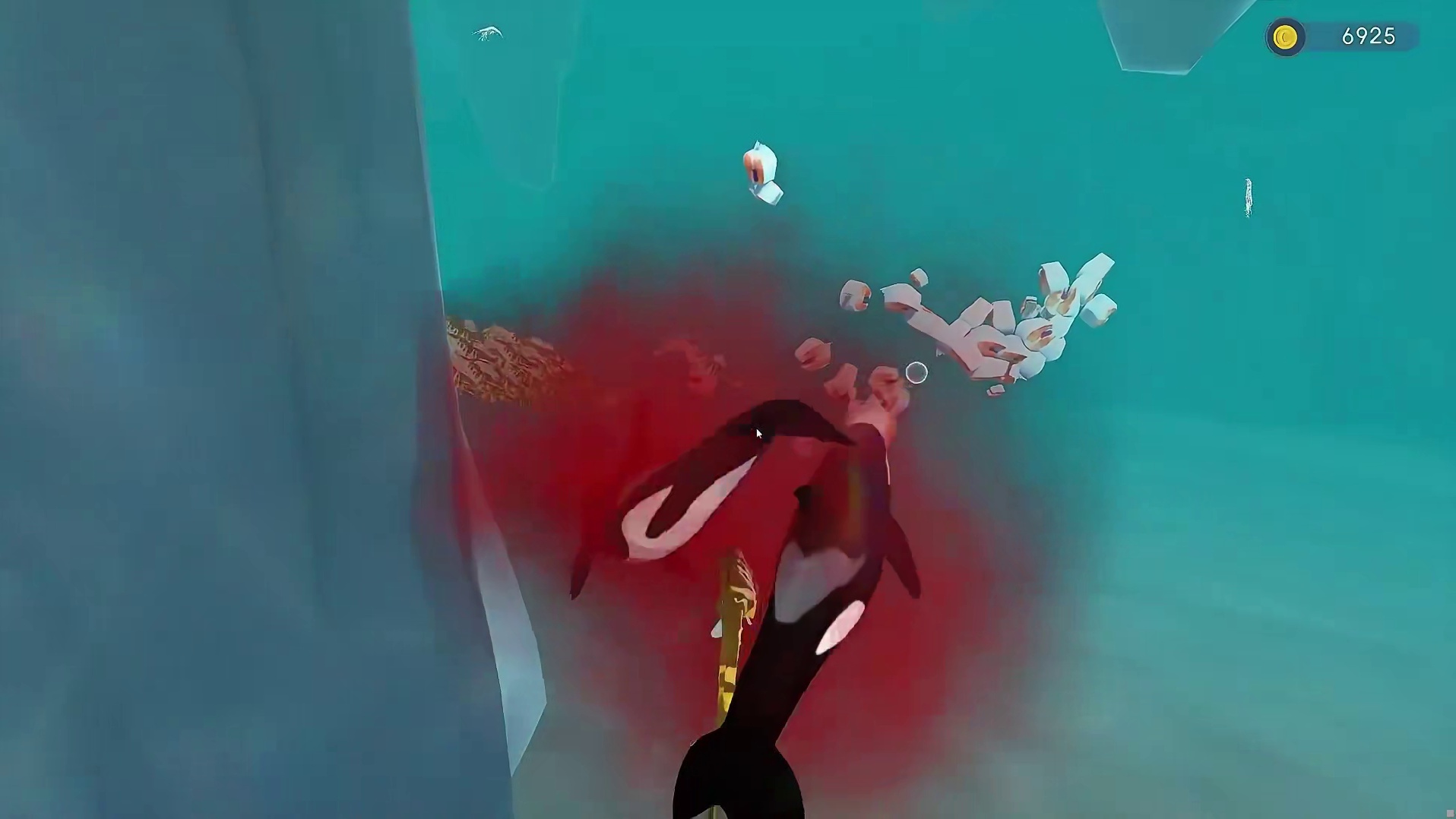 我以后不能给我的海马宝宝吃东西了！