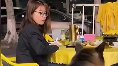 成精的狗子