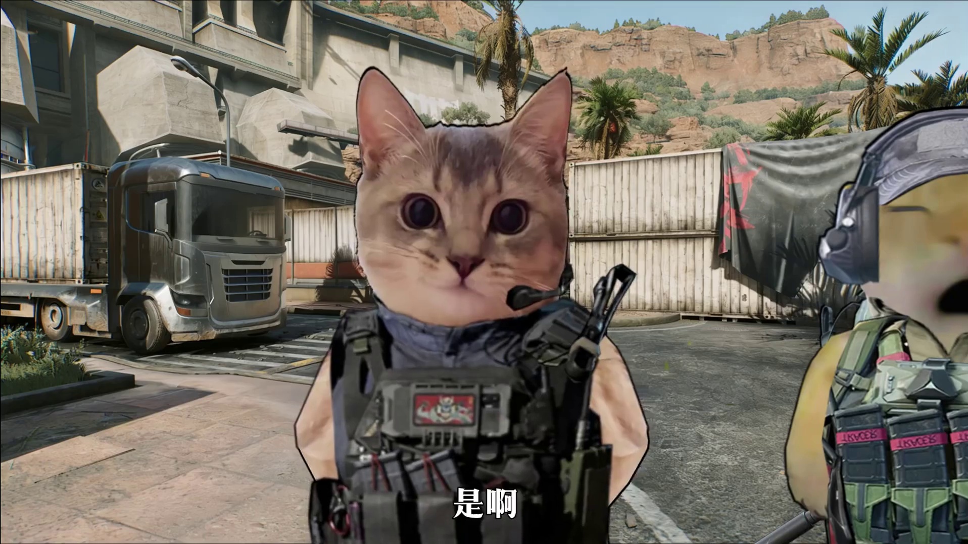 这就是大坝鼠天帝！