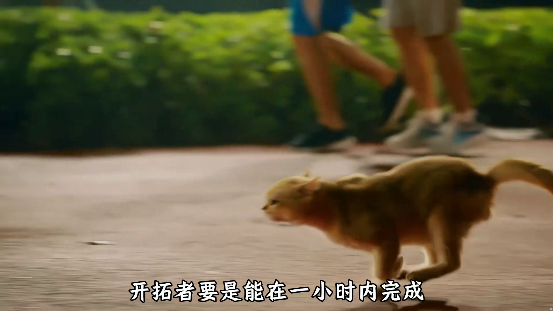 老米整的这三周年庆活动看不起谁呢？