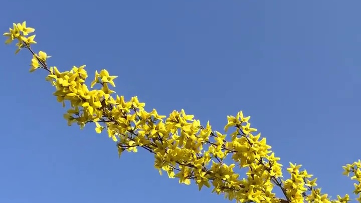 四季轮回，永远为春天心动。