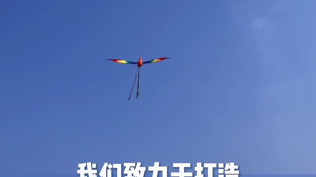 无人机表演，就找大成航空