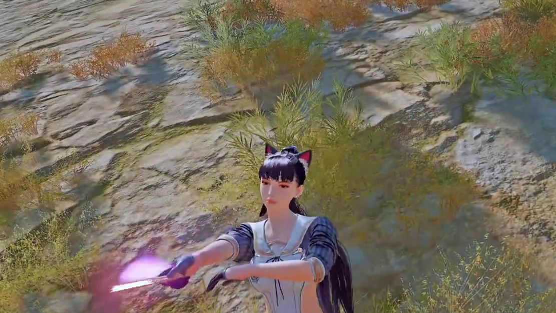 1000美刀伊芙？