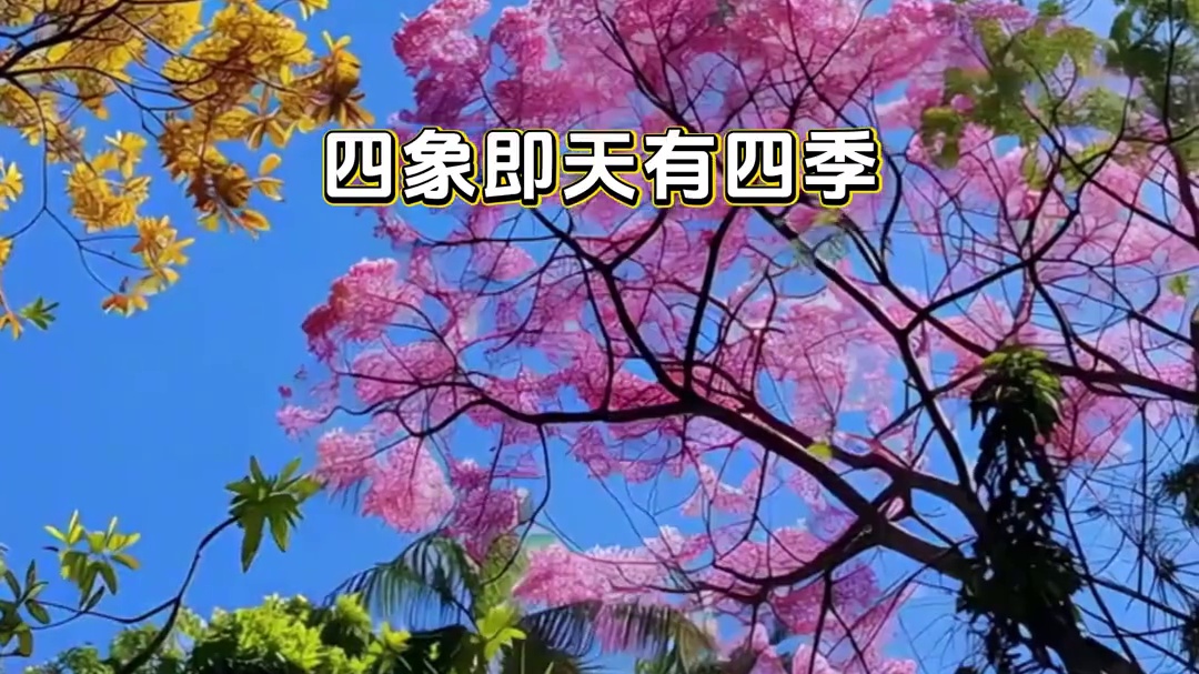 “四”字自古以来就是个很吉利的数字啊