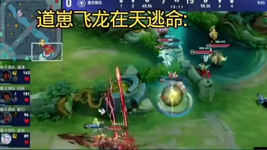 道崽两次飞龙在天看呆家属