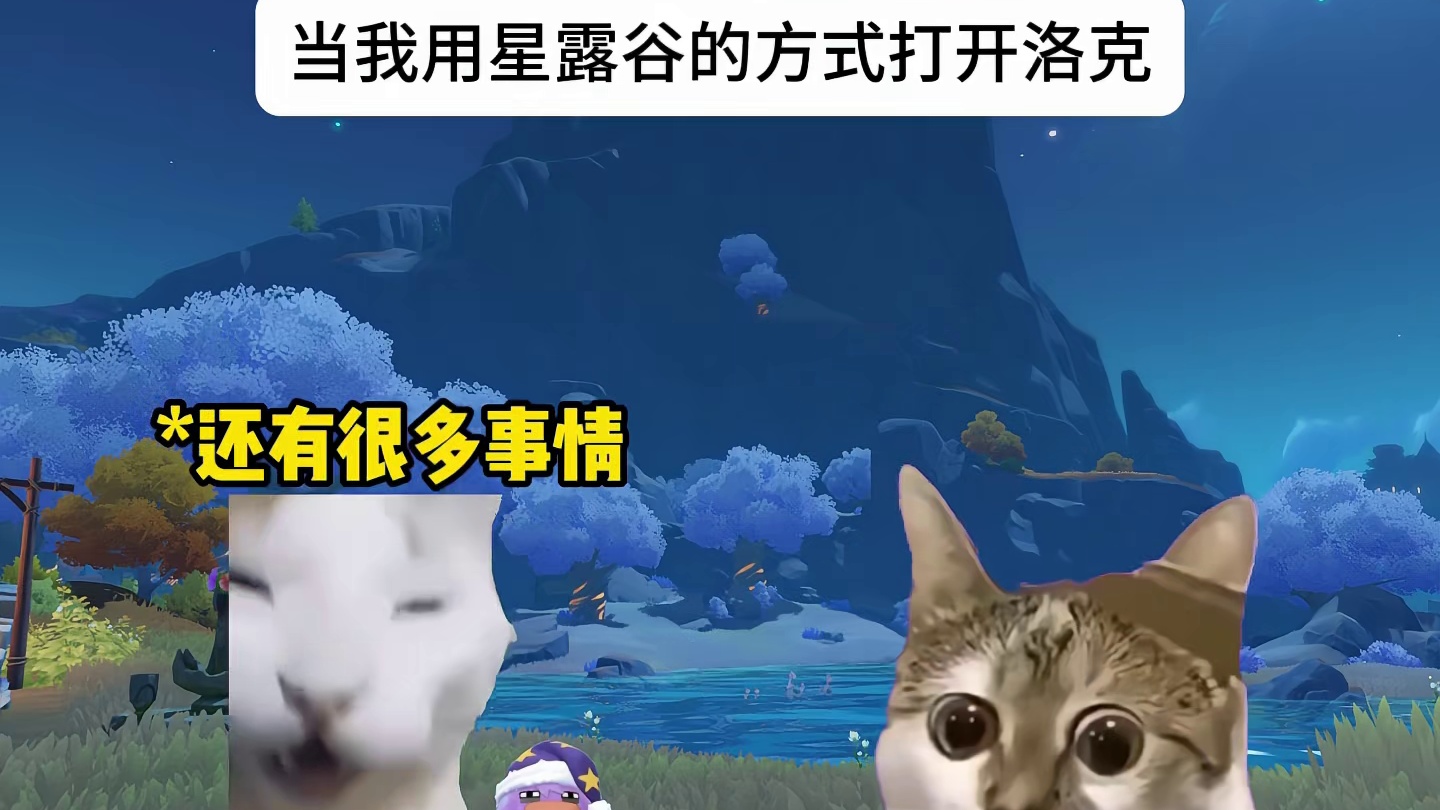当我用星露谷的方式打开洛克
