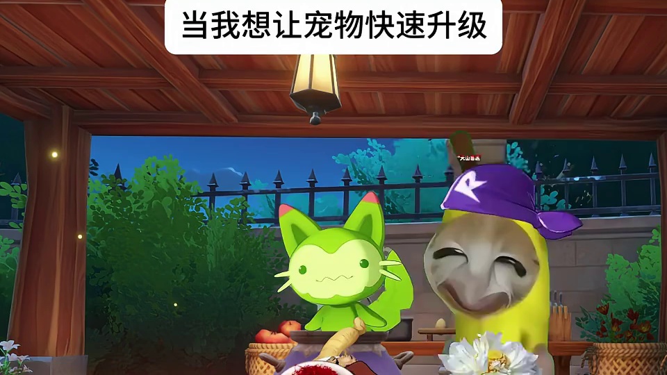 当我想让宠物快速升级