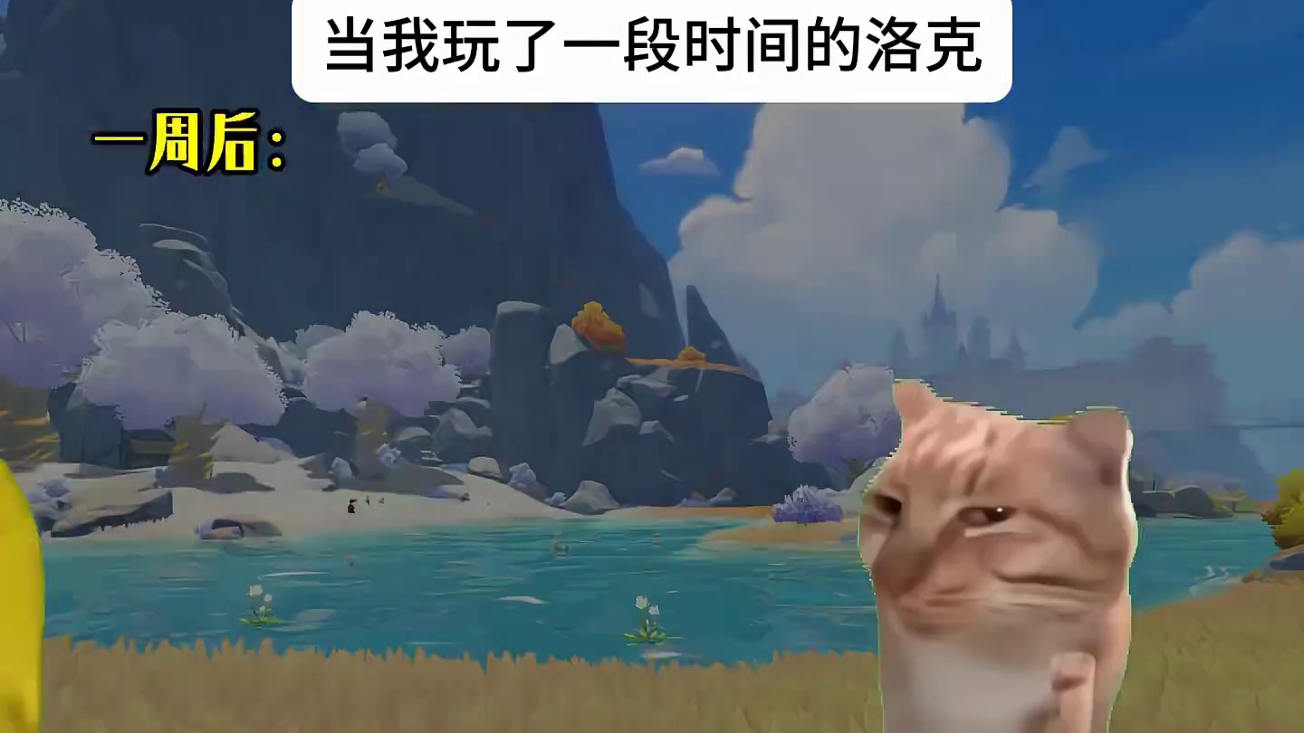 当我玩了一段时间洛克