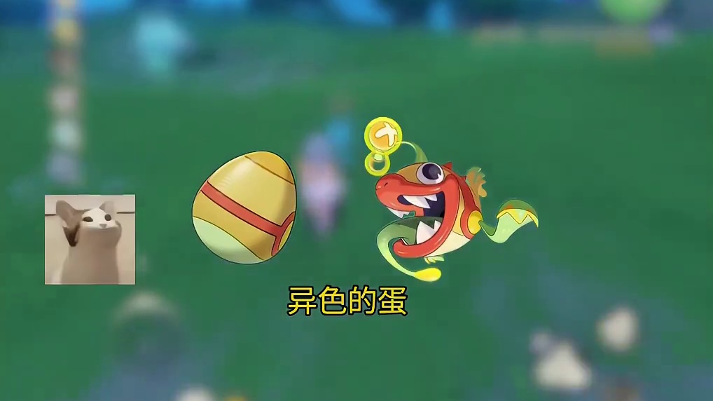 大家都准备选哪只异色精灵呢?