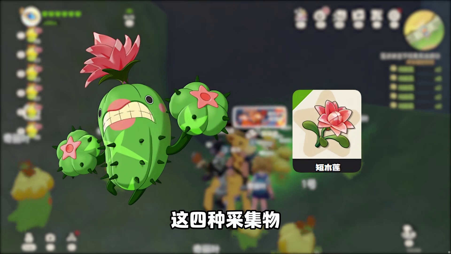 新的刷花神宠来了！全自动洛克贝印钞机，白天刷花，晚上刷鬼火