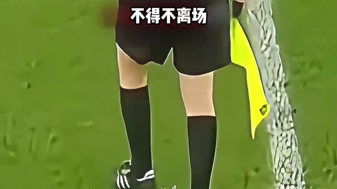 裁判受伤离场无人替补！观众席突然站出一人拯救比赛