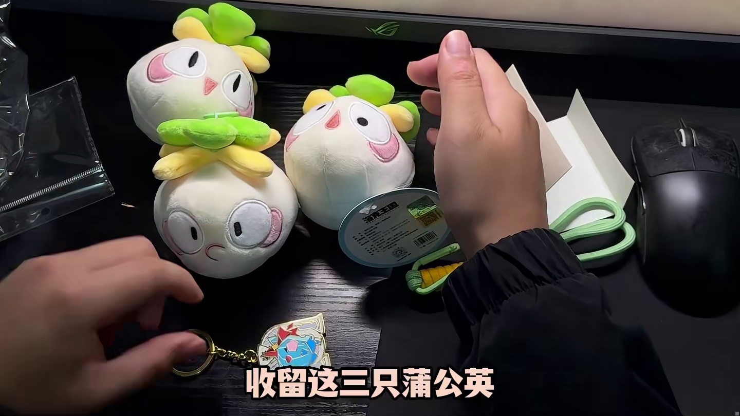 给三只蒲公英精灵找新家