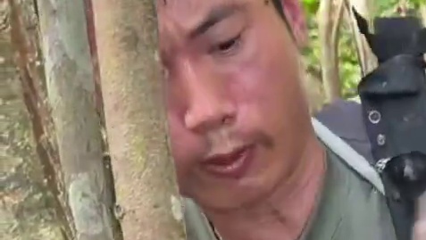 探索亚马逊热带雨林第六集，深入探索，发现难得一见的亚马逊森蚺，