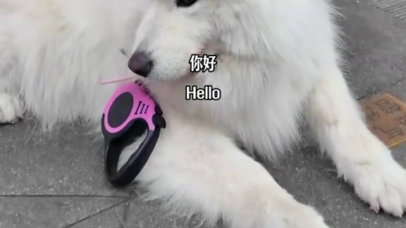 重庆女马领物完成，一起沉浸式开箱