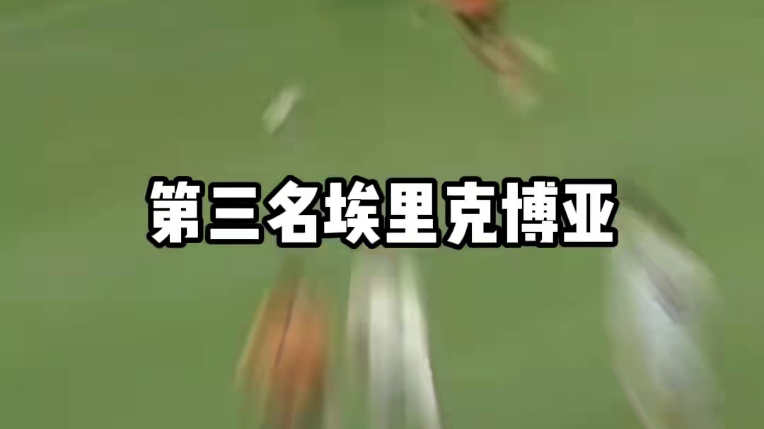 极具嘲讽的罚点，成为难以磨灭伤疤