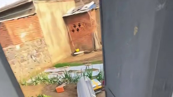 邪恶猫猫头真吓人，还是个银渐层！