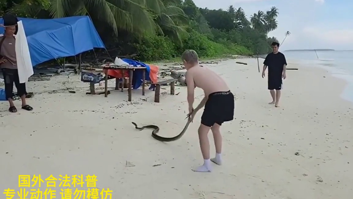 “专业动作 请勿模仿”