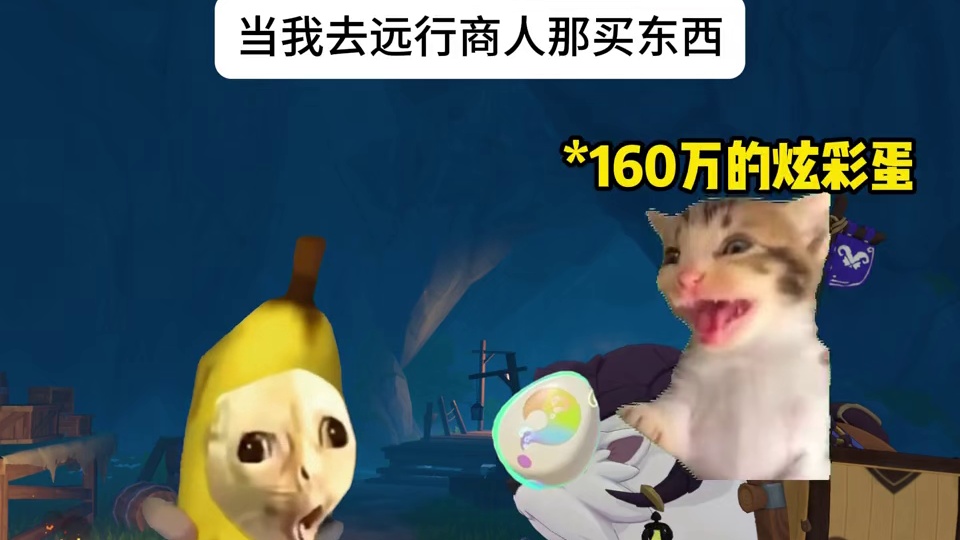 当我去远行商人那买东西