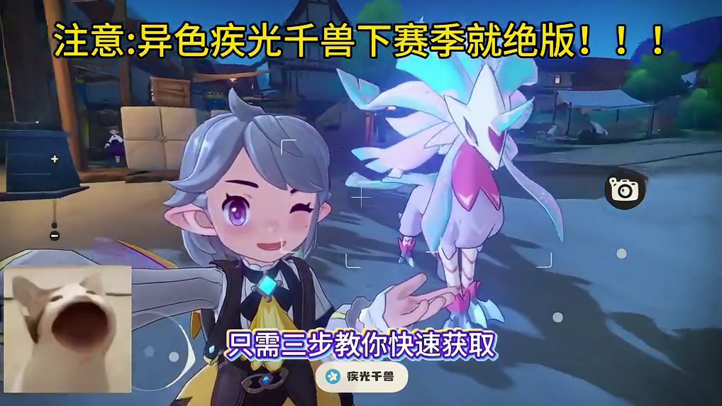 我敢打赌只有百分之十的小洛克有异色疾光千兽