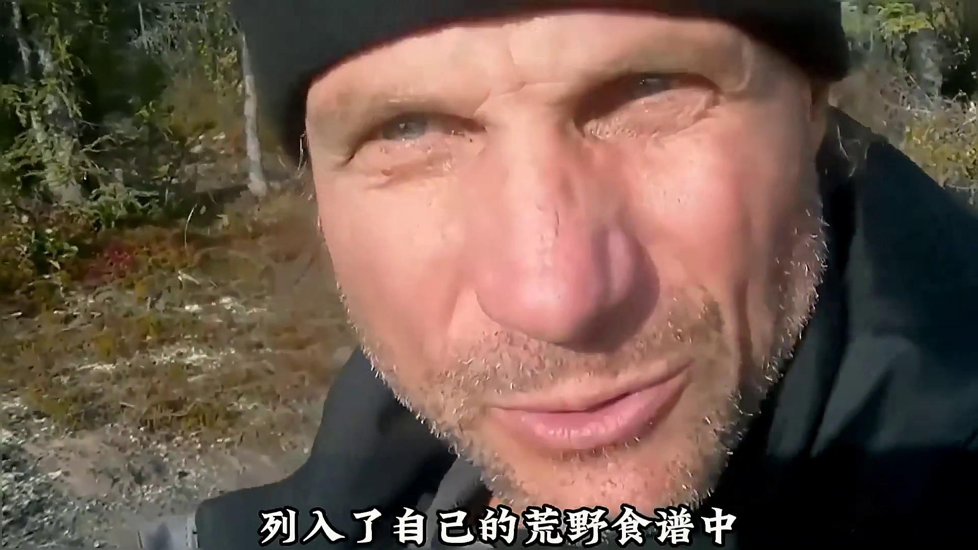 荒野独居最强王者夺冠之路，麝牛黑熊豪猪沦为食物