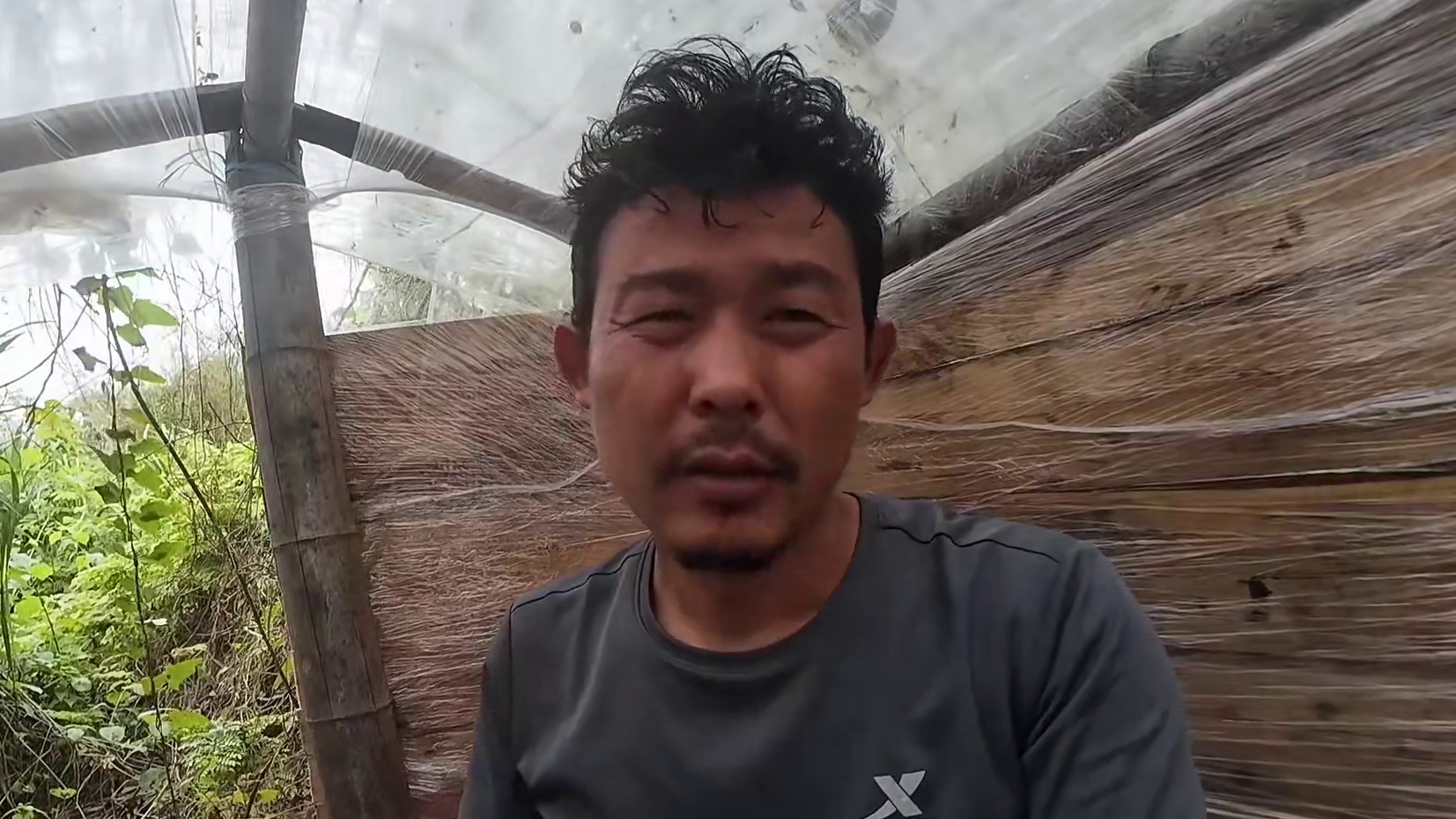 海岛二十四集： 好东西要和邻居分享，来看看发生了些什么吧！