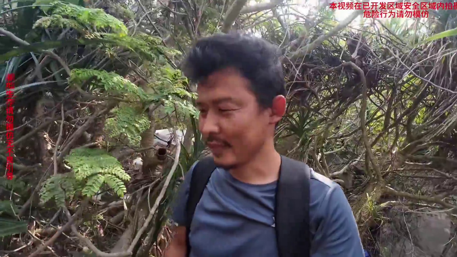 海岛二十三集： 挖点牛大力补补，采摘了不少野果子，还给邻居熬了一锅鲜美的咸鱼水果冰红茶汤他肯定会喜欢
