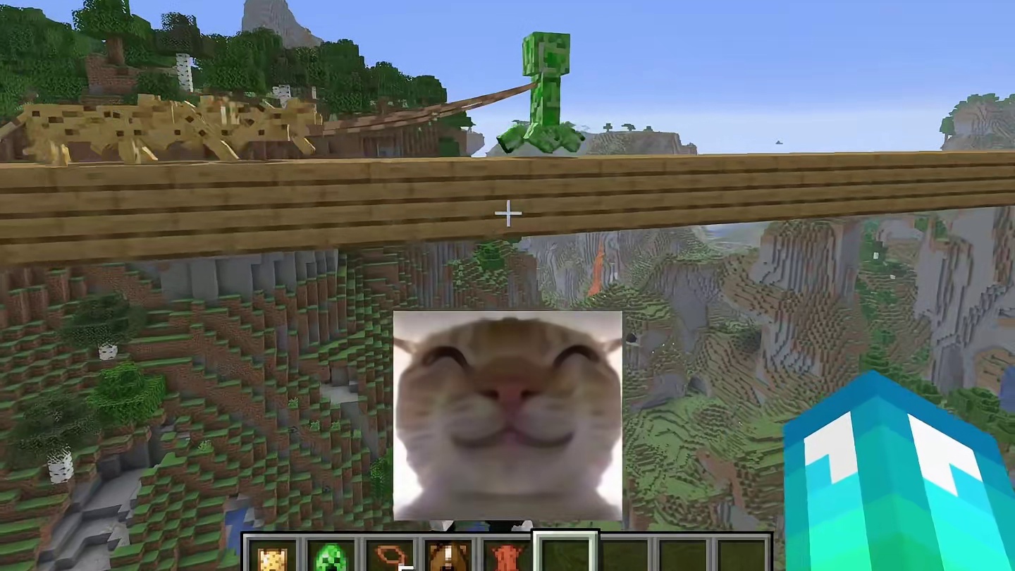 我的世界：当我知道苦力怕害怕猫be like