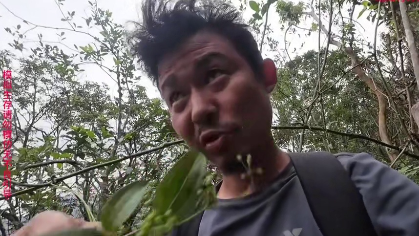 海岛二十七集： 捡到超大蘑菇，遇到退大潮赶海收获满满